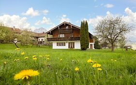 Mayerbauer